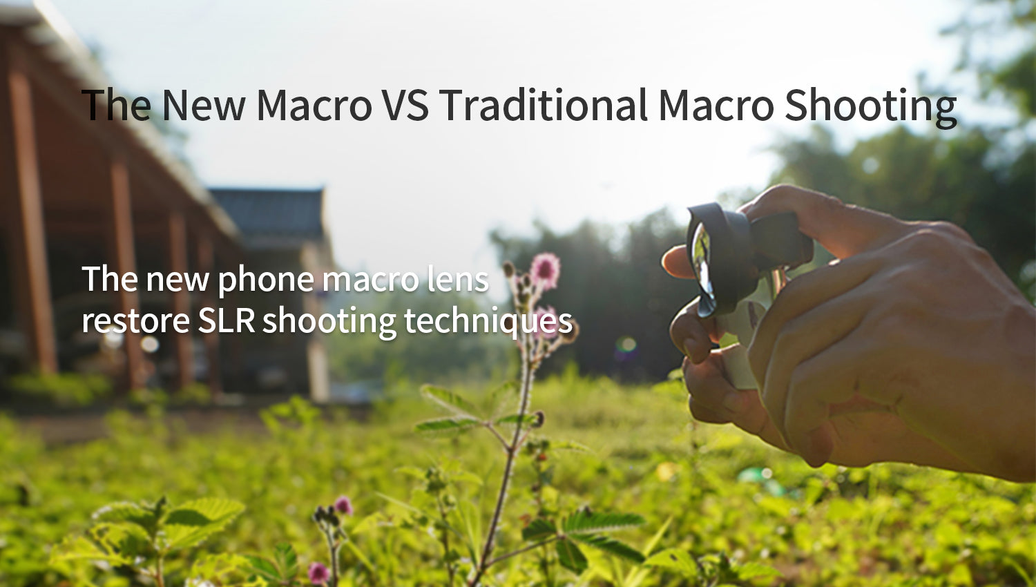let's break down what sets them apart and how the Ulanzi 75mm Macro Phone Lens 1678 brings the best of both worlds to your fingertips.
