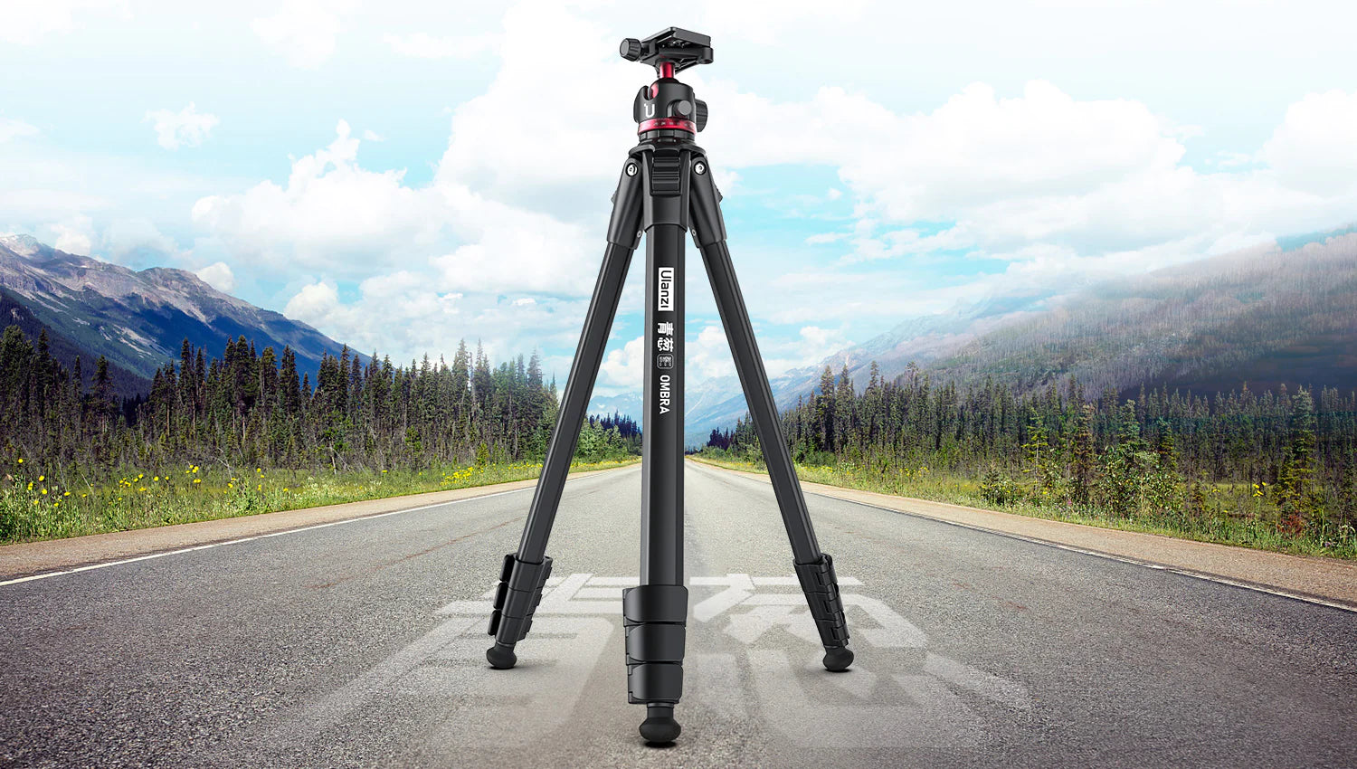 Aluminum tripods are heavier than their carbon fiber cousins, offering a sense of solidity and sturdiness.