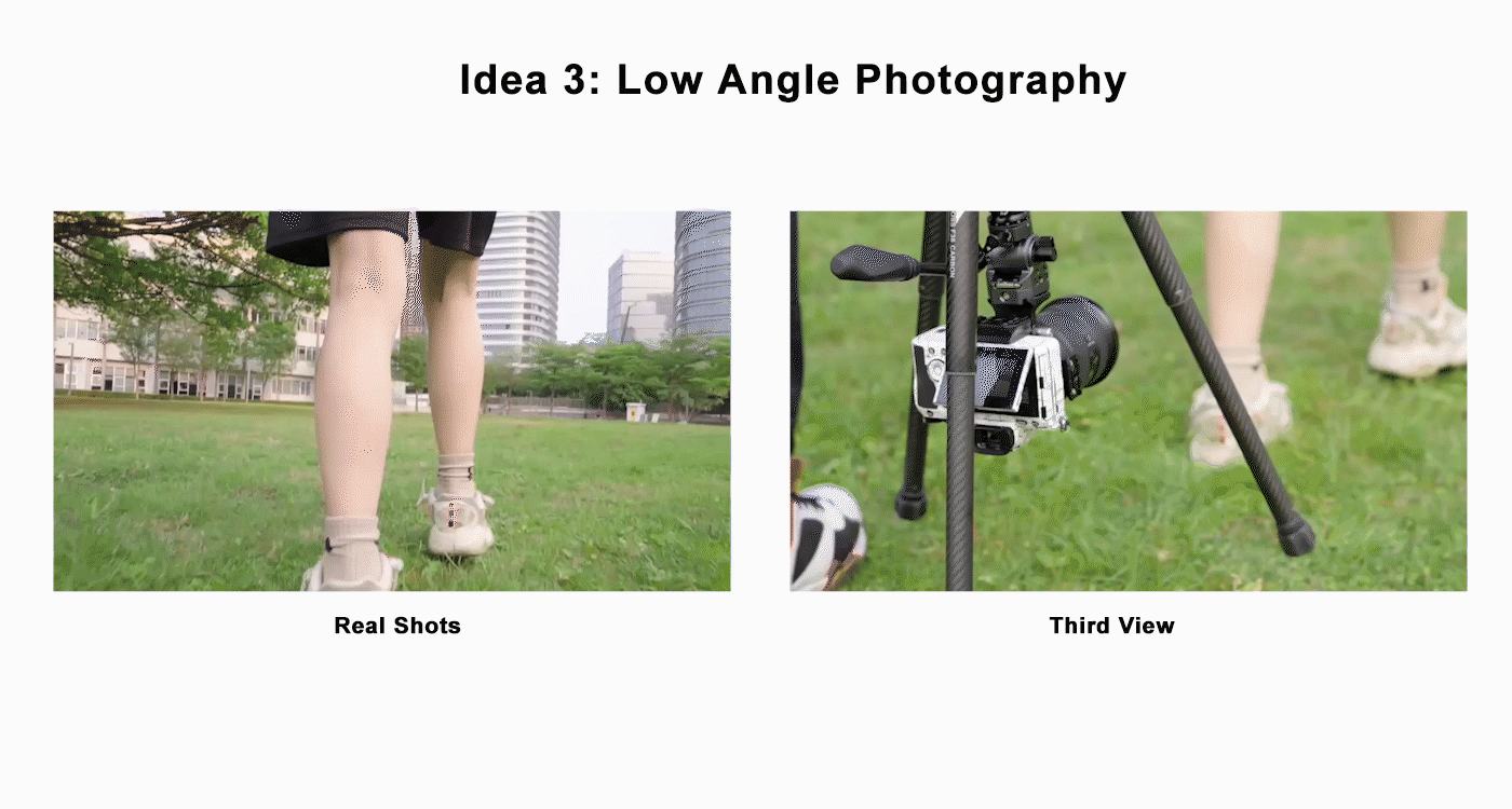 Low Angle Photography