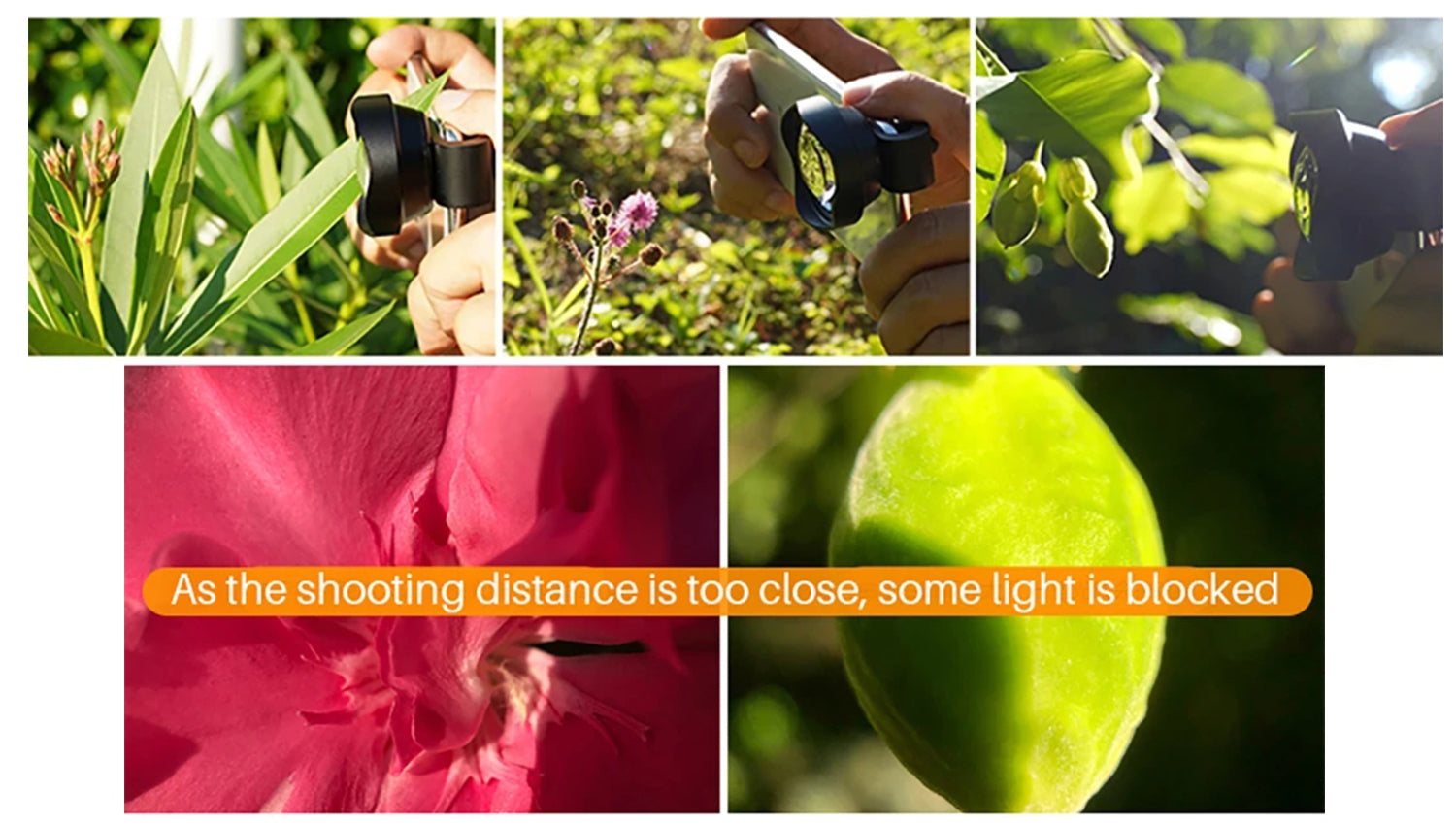  the Ulanzi 75mm Macro Phone Lens 1678 allows photographers to capture exquisite macro photos without lugging around heavy gear