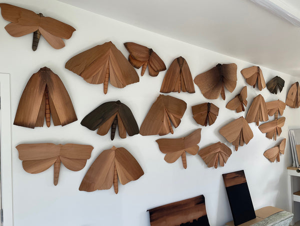 Paula Coulthard's wall of moths