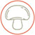 shiitake and reishi mushroom