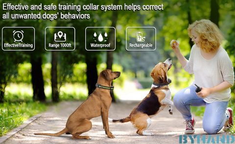 Dog Training Shock Collar