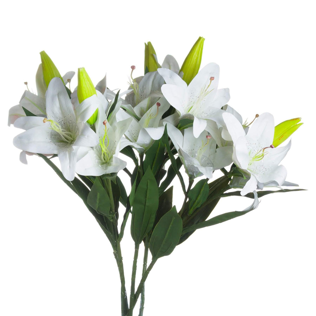 White Lily stem – DuckTree