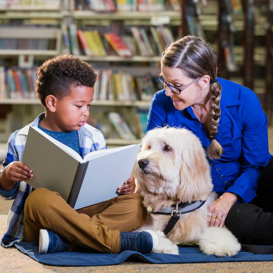 A little 5 year old boy reading in the library along with a therapy dog and school teacher.