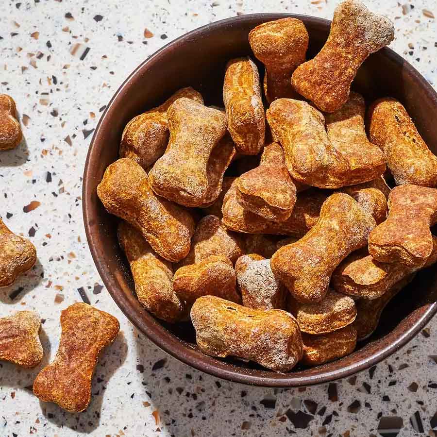 Bowl of Homemade Peanut Butter and Pumpkin Dog Treats from allrecipes.