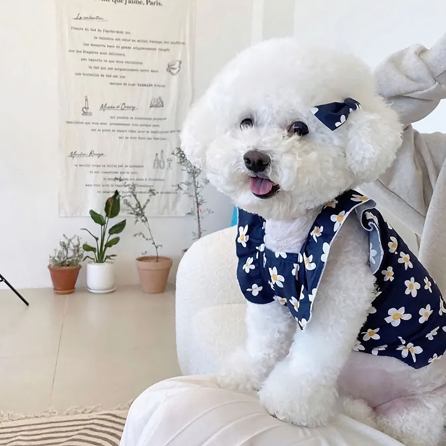 Different Types of Dog Shirts.