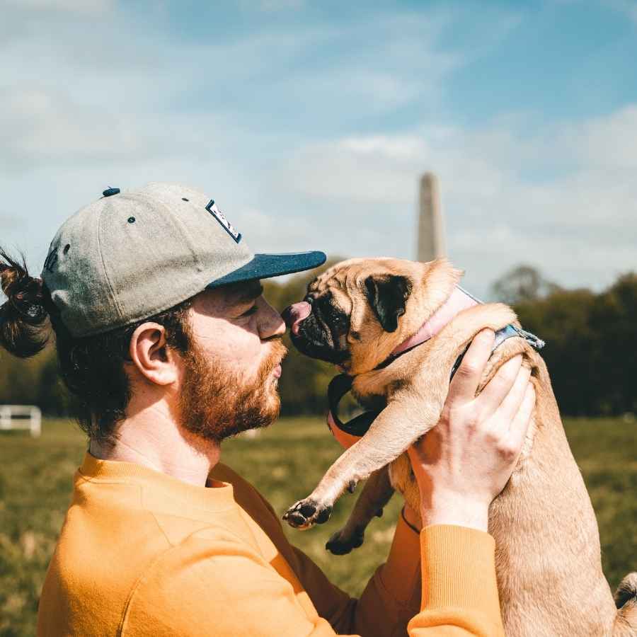 Dog owner holding up adorable pug who's giving licks and kisses, celebrating their bond on National Best Friends Day!