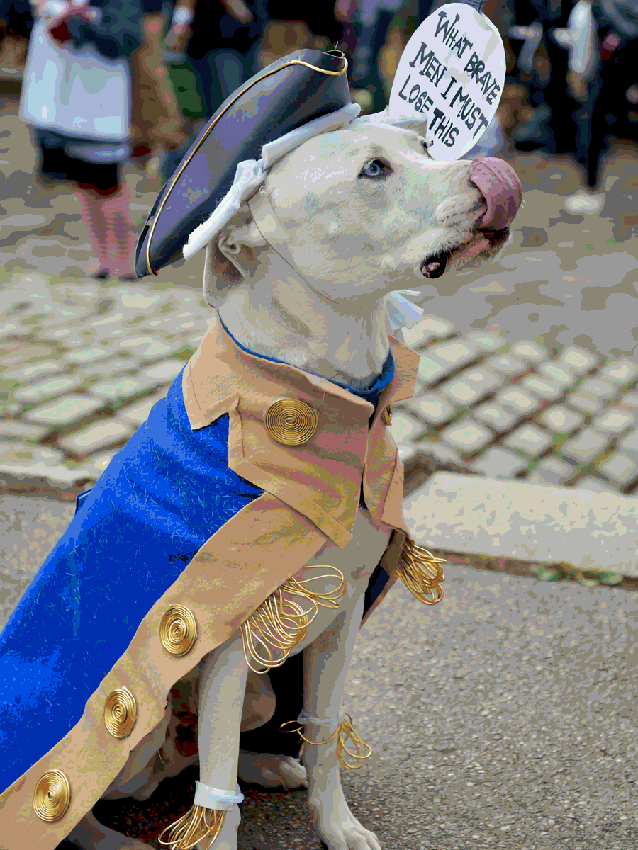 Register your dog for the 25th Annual Great PUPkin Dog Costume Contest, Brooklyn's largest and most outrageous dog costume contest.