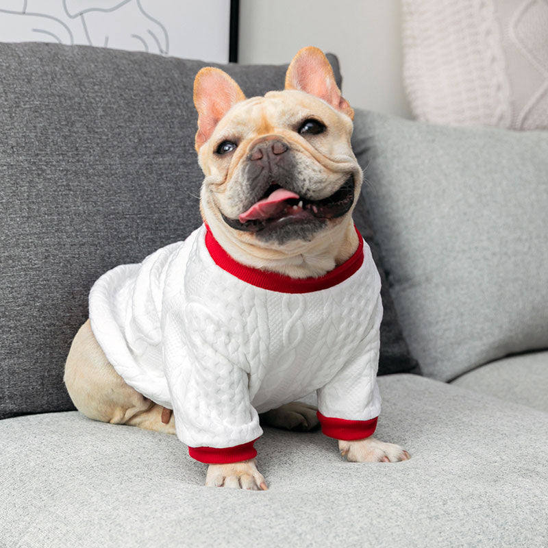 Chic Canine Couture: Chanel-Inspired Vest for French Bulldogs