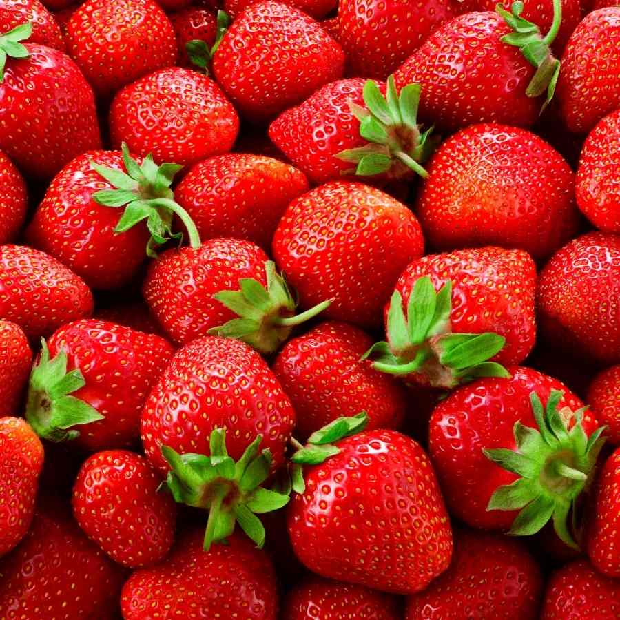 Fresh and delicious strawberries, one of the best summer dog-friendly treats available.