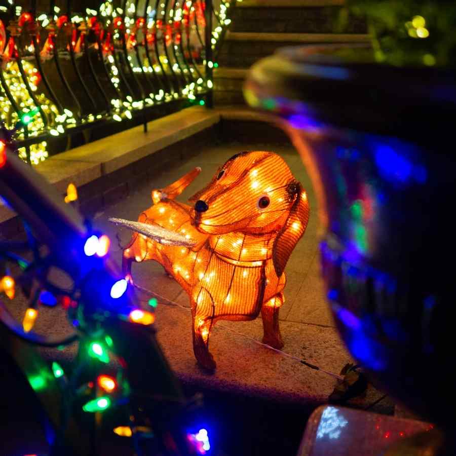 Beautiful home decorations with dog Christmas lights.