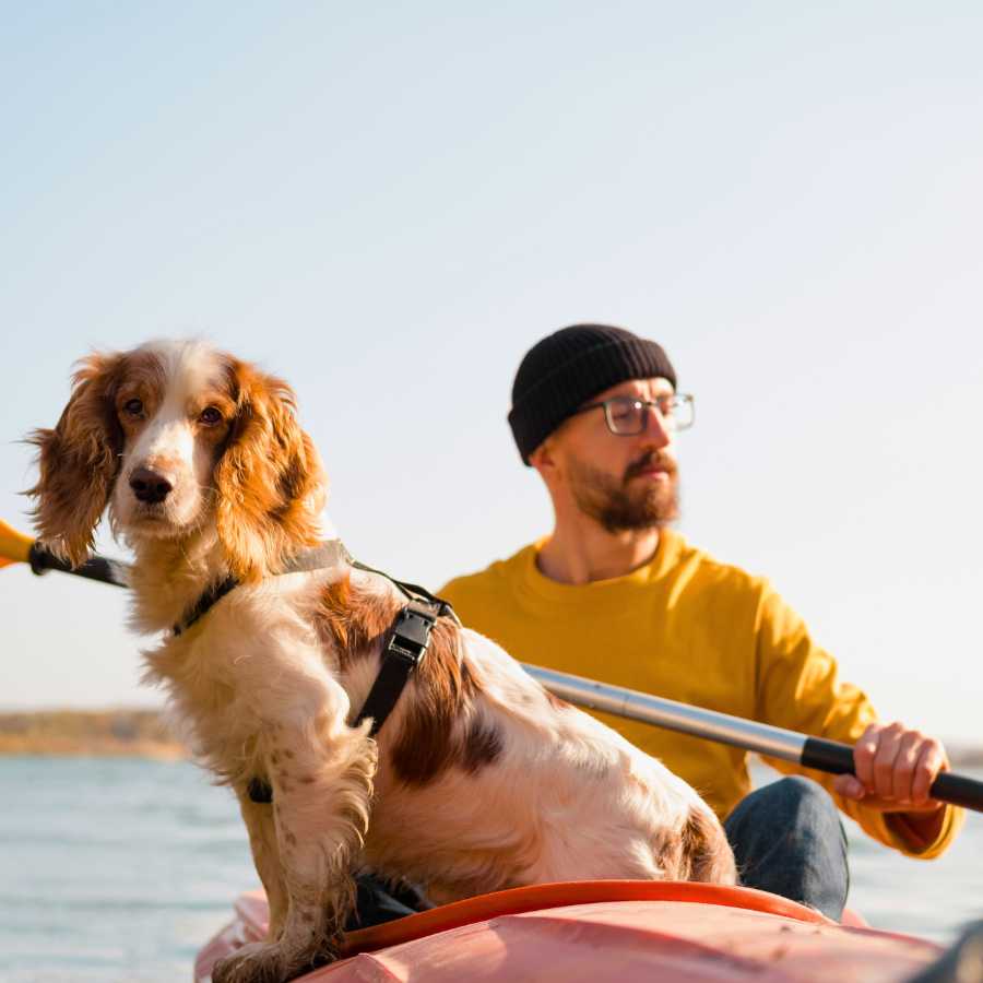 Man wearing a beanie, kayaking with a Cocker Spaniel mixed dog breed in a canoe on the lake.