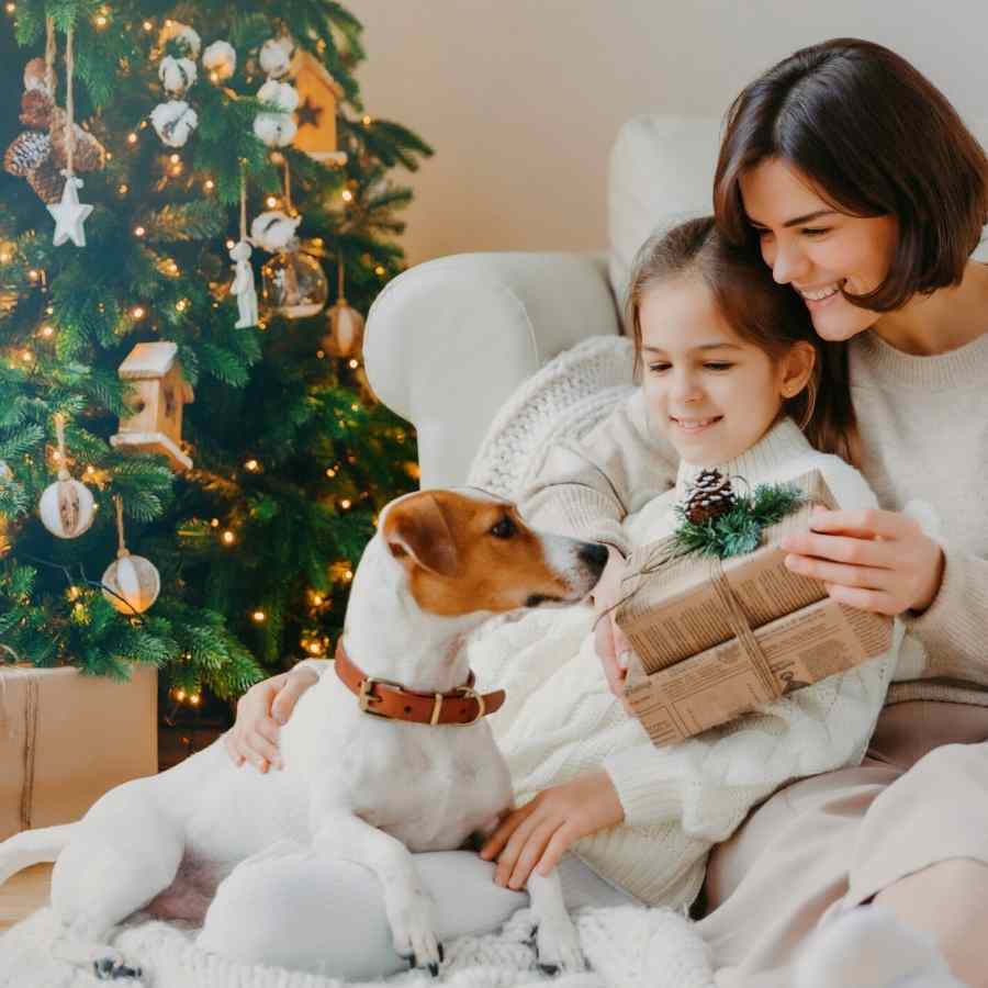 Mom and daughter sitting with their Jack Russell Terrier underneath a Christmas tree.