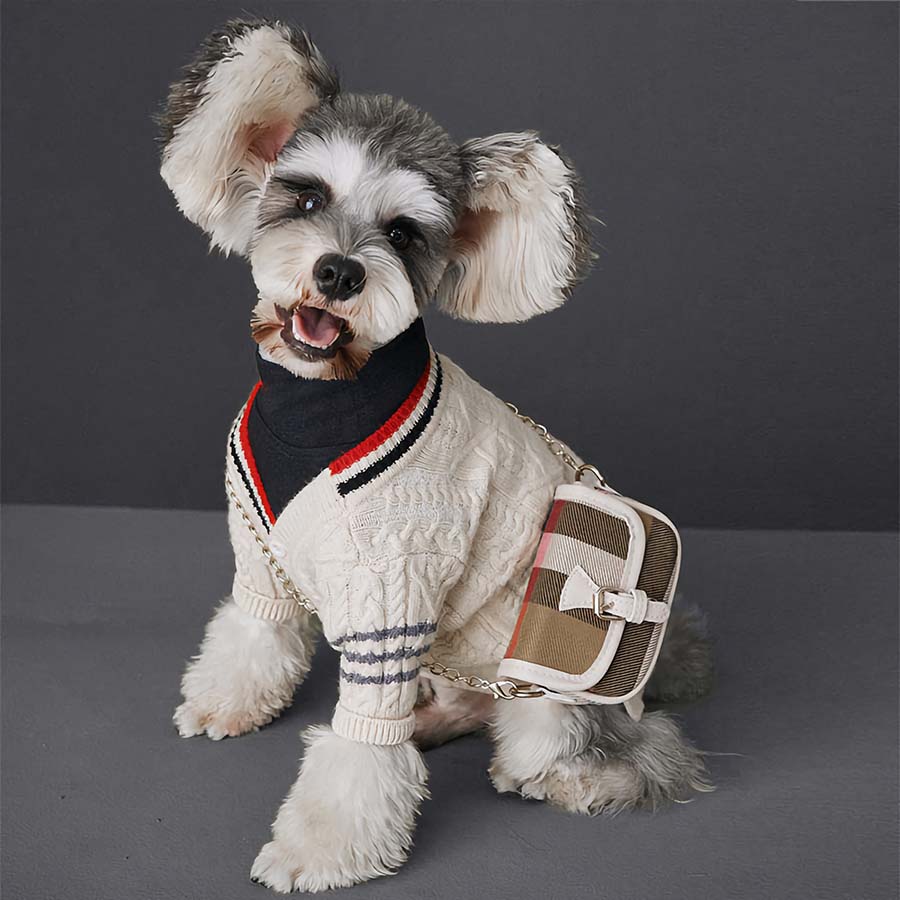 https://cdn.shopify.com/s/files/1/0136/5468/7844/files/papillon-maltese-mix-wearing-egg-nog-preppy-cable-knit-dog-cardigan.jpg?v=1643145505