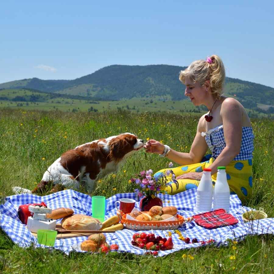 Young woman and King Charles Cavalier sitting on a gingham blanket having a picnic on warm summer day.