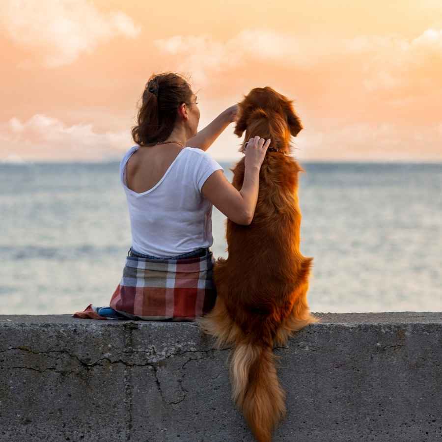 Young woman sitting at the pier, watching the sunset with her dog, celebrating National Best Friends Day