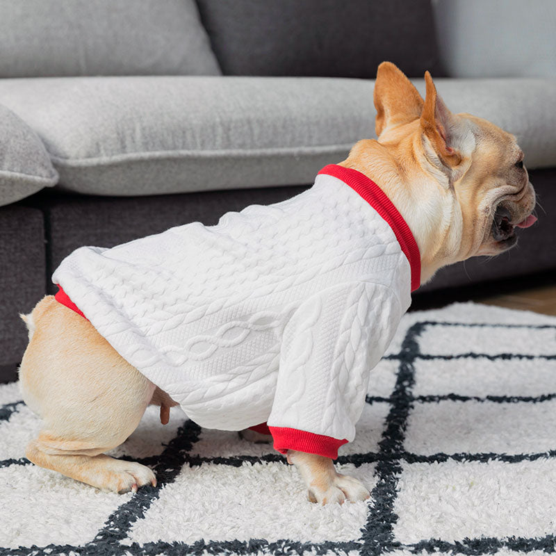 French Bulldog stooping down, wearing the adorable Chunky Cable-Knit Dog Sweater from online dog clothing store they made me wear it.