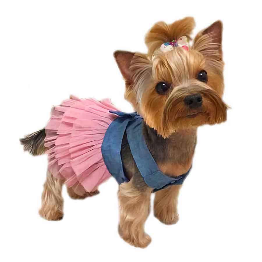 Dog Dress - Buy Dog Dress online in India