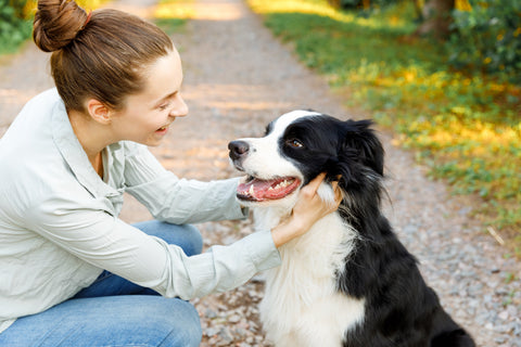 smiling-young-attractive-woman-playing-with-cute-puppy-dog-border-collie-summer-outdoor-backgroun