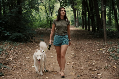 young-woman-walking-with-white-husky