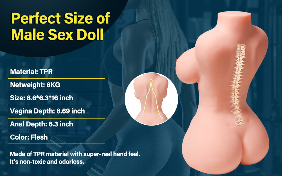 basic information of Sohimi's torso sex doll