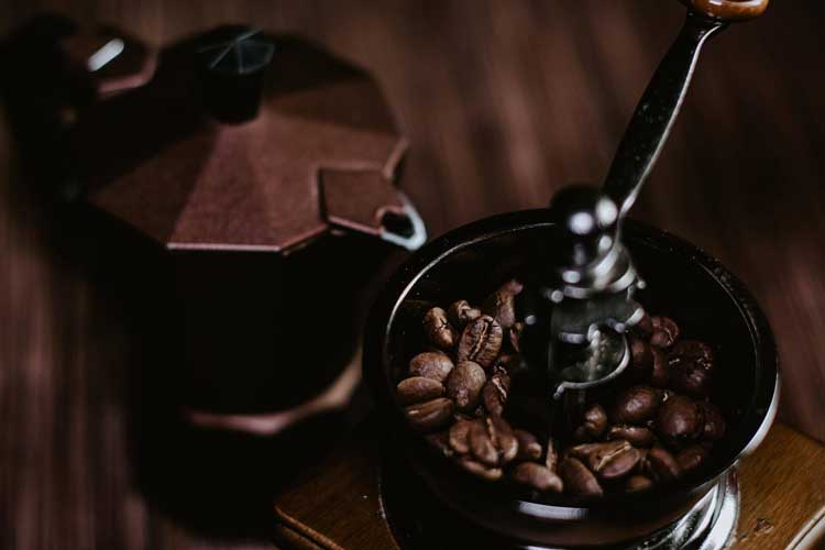 https://cdn.shopify.com/s/files/1/0137/1655/3786/files/ninja-coffee-grinder.jpg?v=1614975687