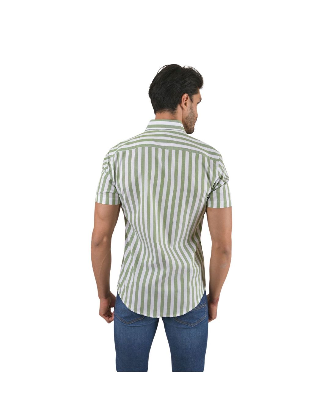 Men's Stripes Short Sleeve Button Down Shirt White & Green