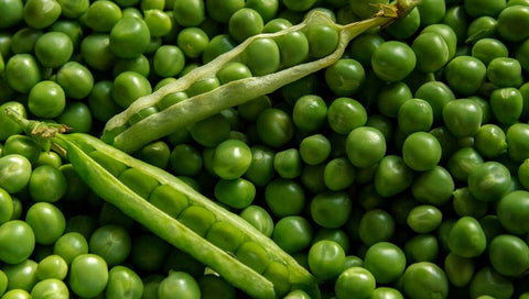Green peas vegan protein
