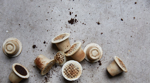 Halo home compostable coffee capsules