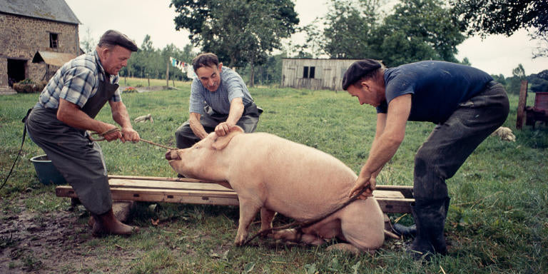 Photographie : ©Madeleine de Sinety - Au village on tue encore le cochon