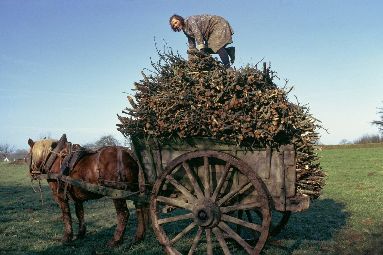 ©Photographie :  Madeleine de Sinéty aimait photographier la vie à la ferme et dans les champs