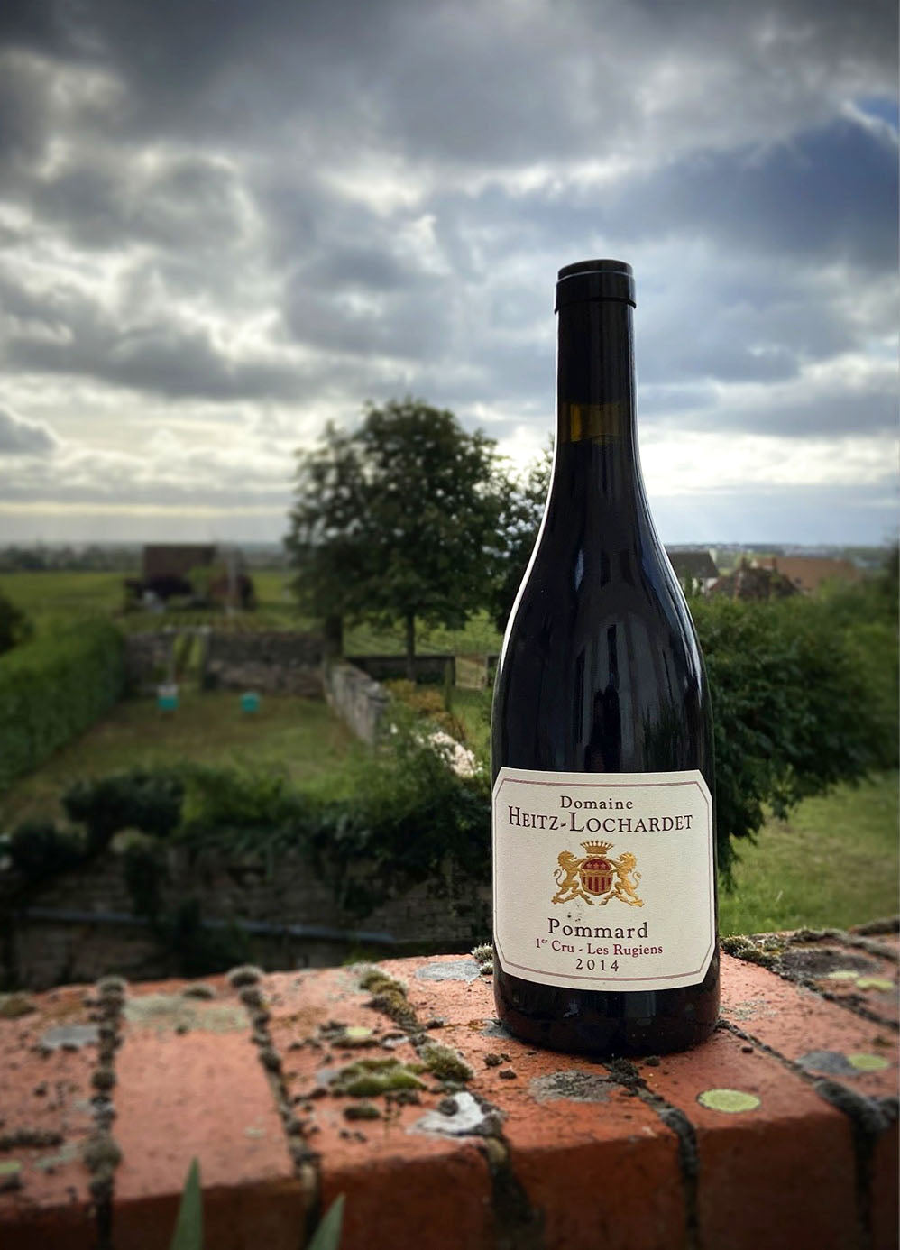 Pommard 1er Cru les Rugiens 2014 Armand Heitz