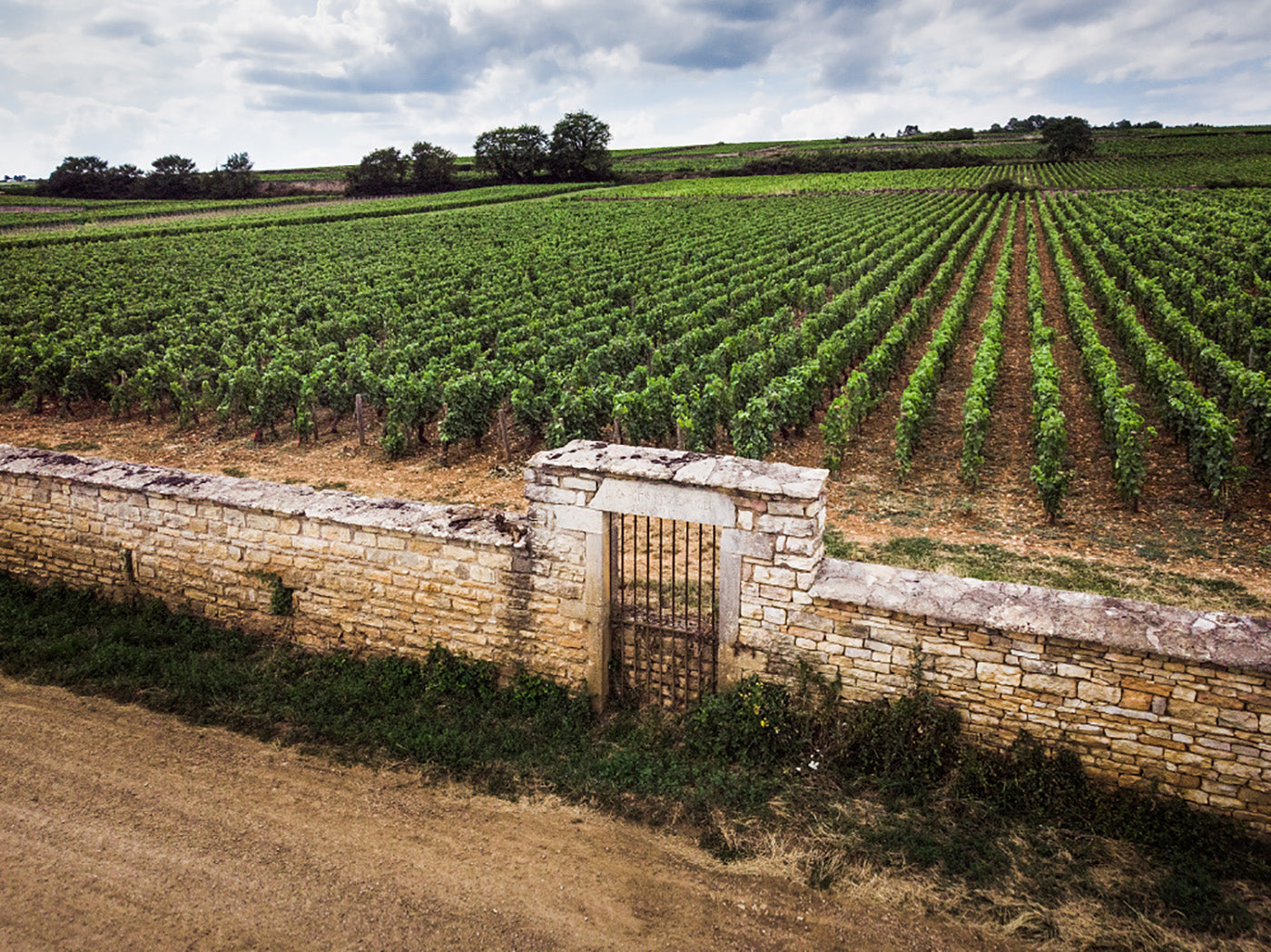 Parcelles de vignes en Bourgogne, typique de la classification des vins