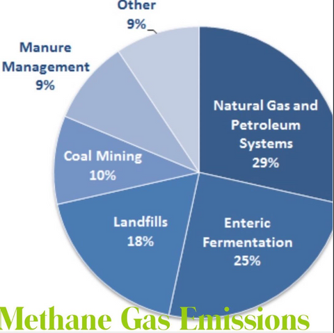 methane gas emissions 