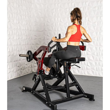 Seated Row Wall Mount – Torque Fitness - Commercial