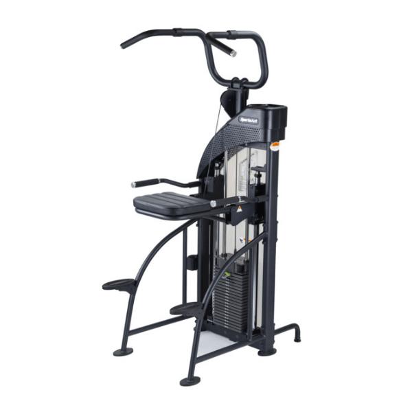 SportsArt Performance Dual Function Chin-Up Tricep Dip DF307