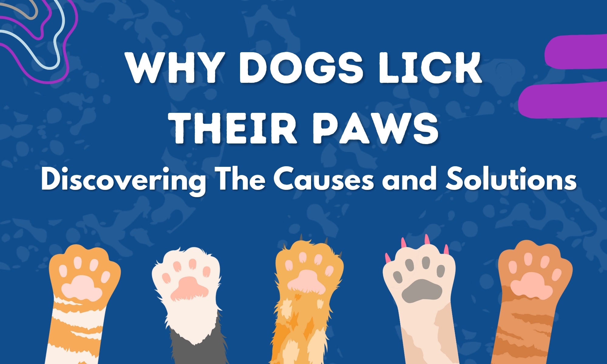 Why Dogs Lick Their Paws Discovering the Causes and Solutions