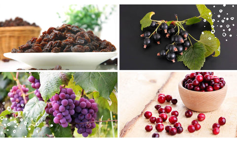 Other Risks: Raisins, Currants, and Grape Products