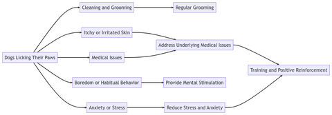 why dog licks paws diagram
