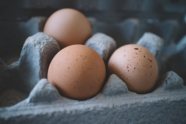 eggs for healthy hair