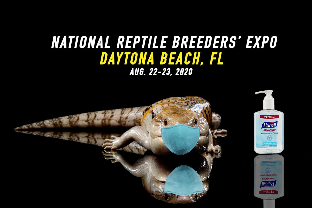 The BIGGEST Reptile Show of The Year is Back! Daytona NRBE ! TikisGeckos