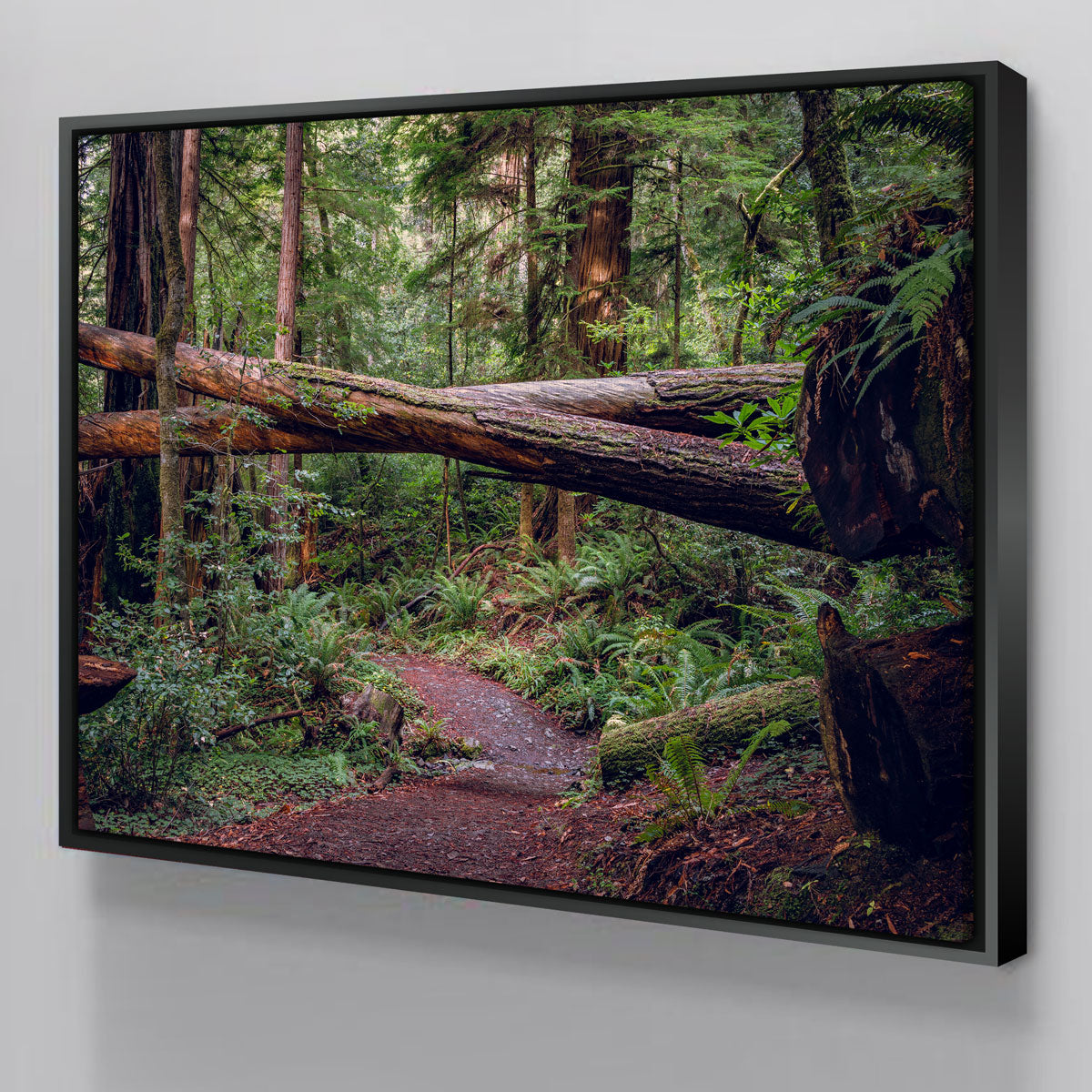 Crossed Trees – Legendary Wall Art