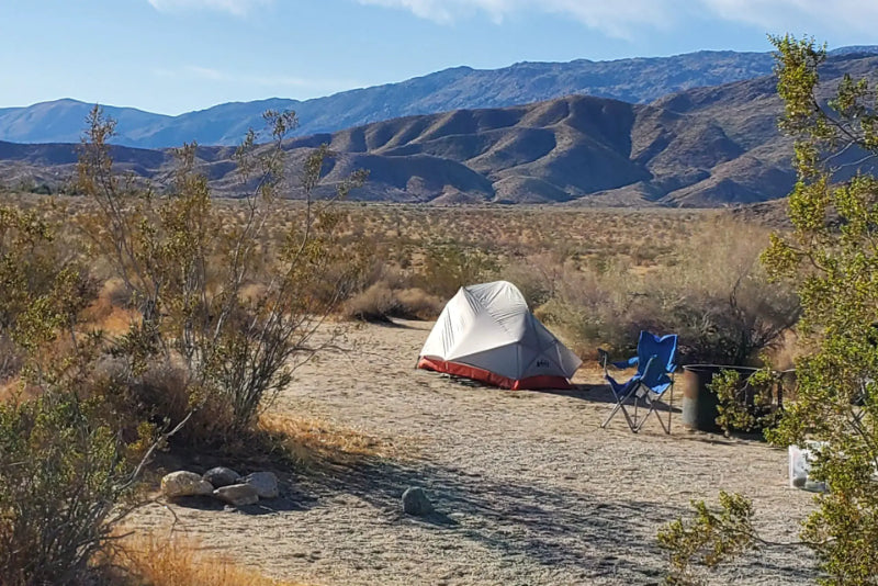 Anza-Borrego Desert State Park Borrego Palm Canyon Campground