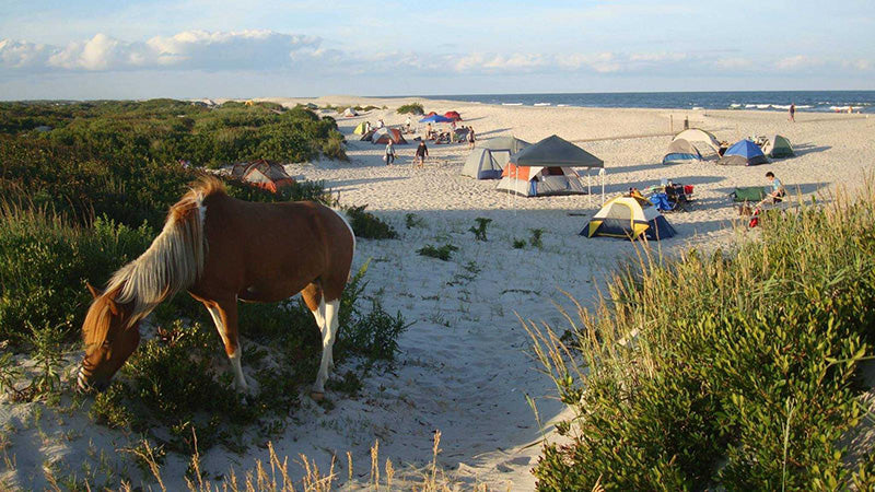 Assateague Island National Seashore campground