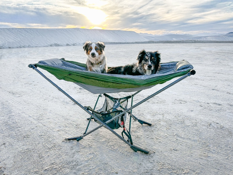 Desert Camping in winter with portable folding free standing hammock