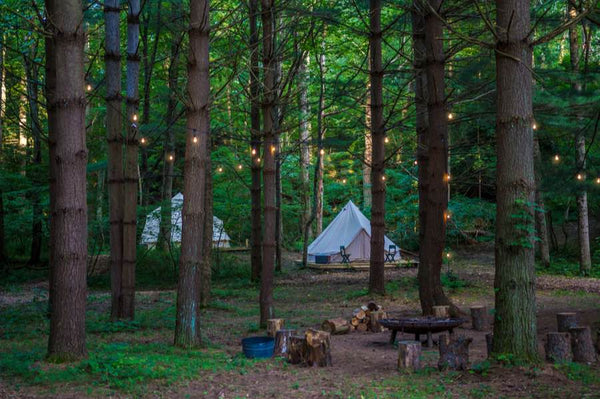 forest glampsite with glamping tents