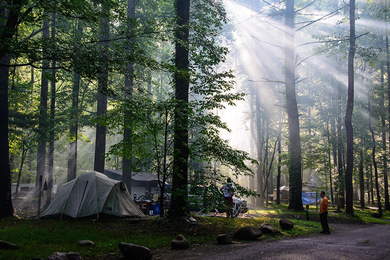 Great Smoky Mountains National Park campsite