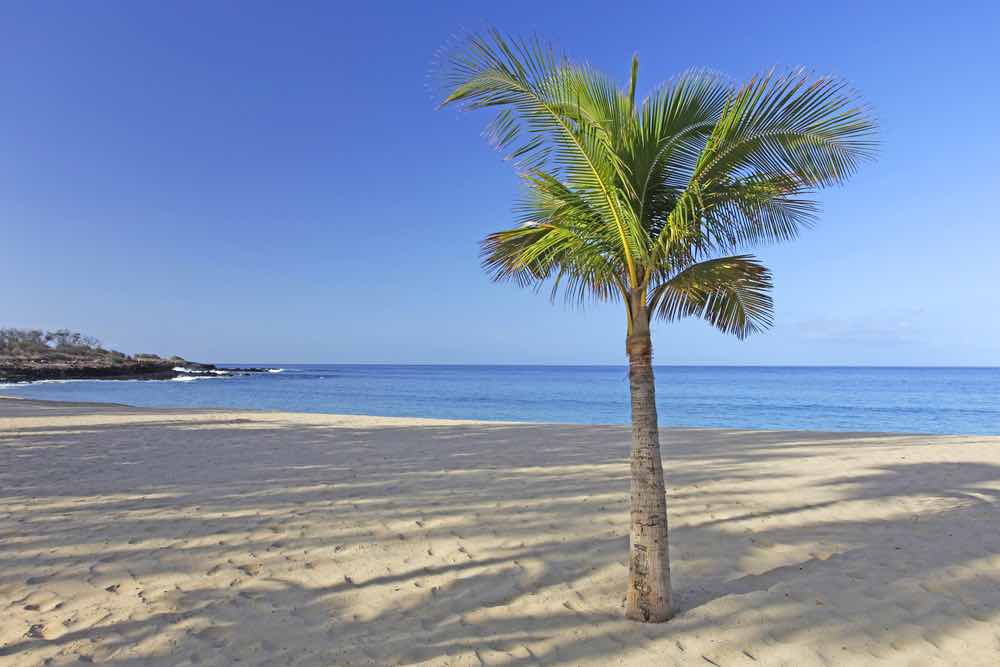 Hulopoe Beach