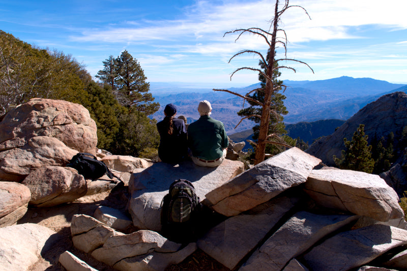 Mount San Jacinto State Park Stone Creek Campground